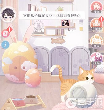 《恋与制作人》宠物玩法全介绍！