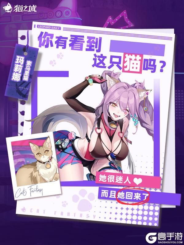 🐾寻猫启事:你有看到索马里猫吗?