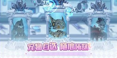 《冒险小分队》0822·活动预告