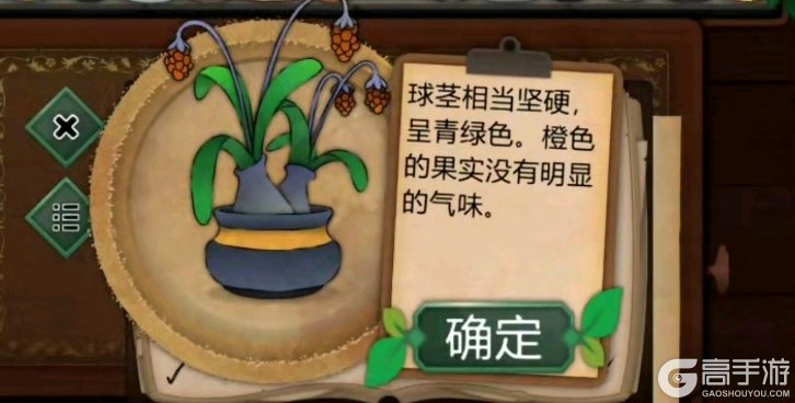 奇异园艺
