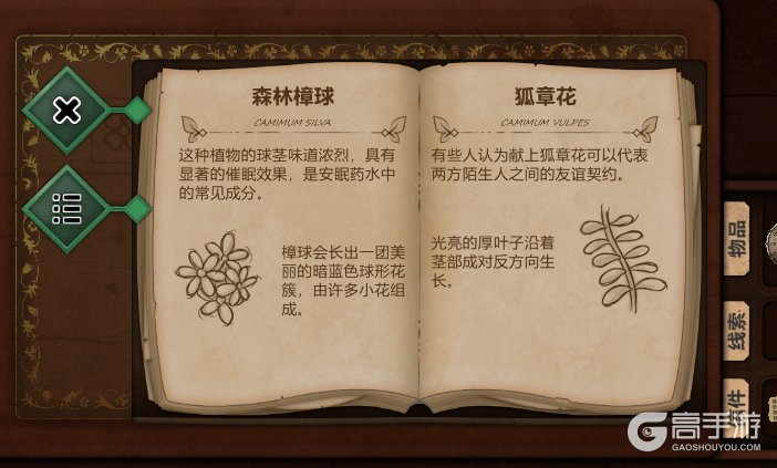 奇异园艺