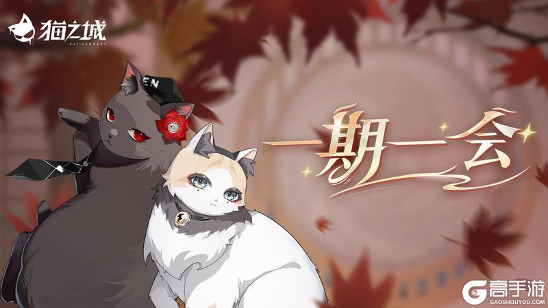 🍁版本预告 | 相闻歌