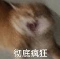 周年庆活动大汇总！所有福利一网打尽！