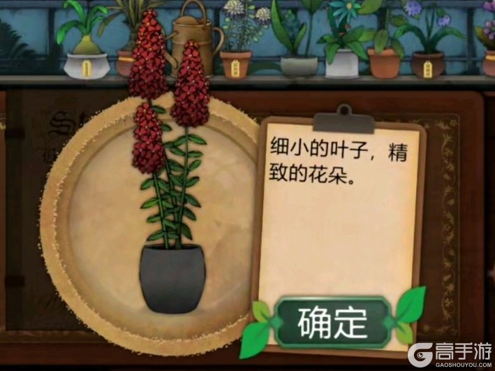 奇异园艺