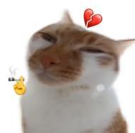 【爆料时刻】——催更真的有用！！💦距离上线又近了亿点点......