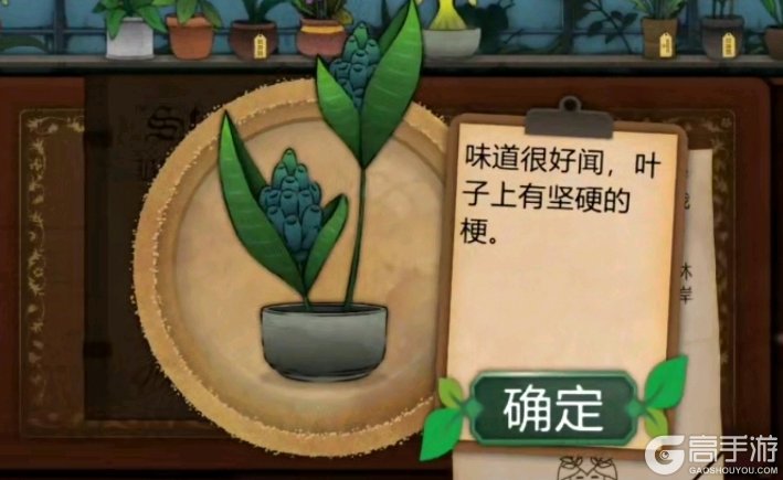 奇异园艺
