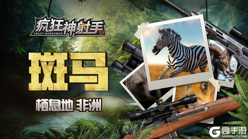 【猎物图鉴】（第七期）非洲-斑马