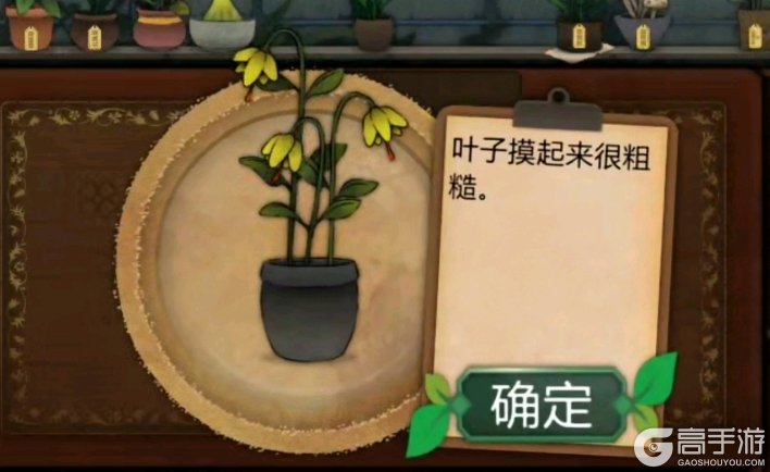 奇异园艺