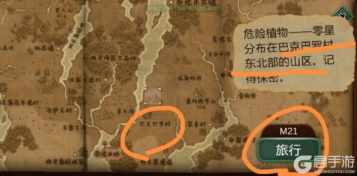 奇异园艺
