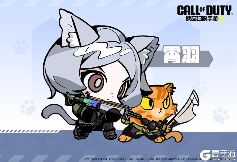 我方召唤了猫猫新形态
