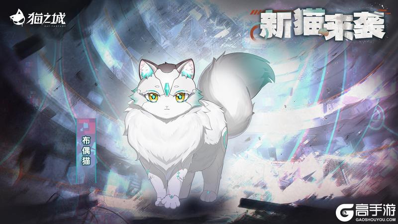 《猫之城》版本预告丨新猫来袭
