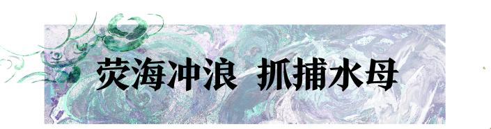 《一梦江湖》赏蓝荧照夜抓水母踏浪！