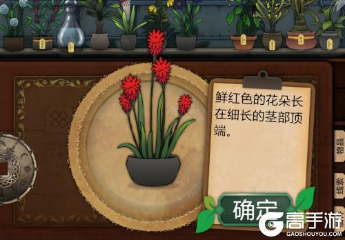 《奇异园艺》：治愈或毁灭，只在一株花之间