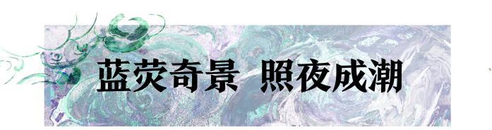 《一梦江湖》赏蓝荧照夜抓水母踏浪！