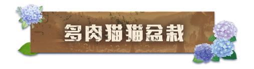 《明日之后》家具爆料 | 庄园里长出多肉森林！