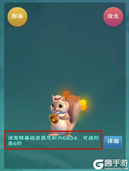 创造与魔法
