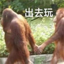 《我的勇者》喜迎国庆 祖国万岁 祝勇者们节日快乐!