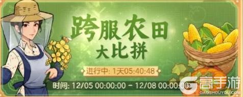 《时光杂货店》跨服排行榜攻略:人才、农田、魅力与影视榜单详解