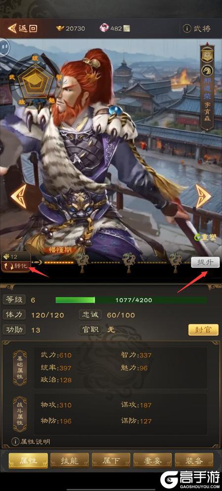 三国志战棋天下