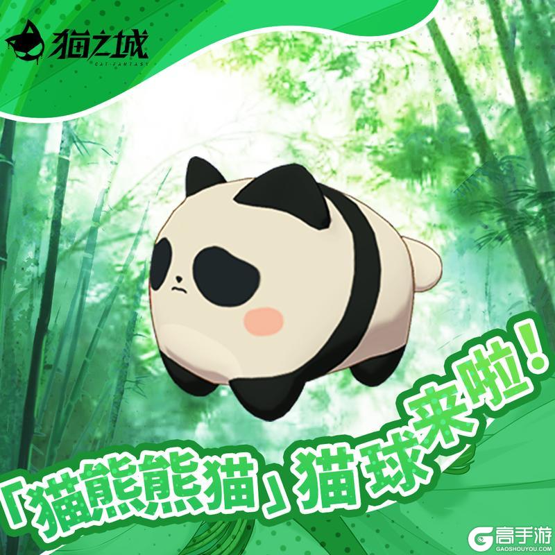 《猫之城》熊猫猫球来啦!