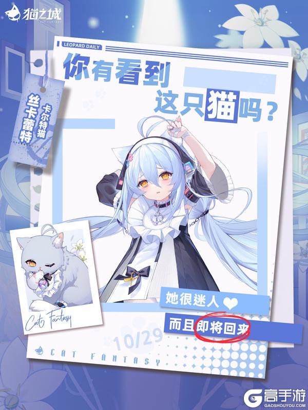 《猫之城》寻猫启事:你有看到卡尔特猫吗?