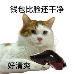 《我的勇者》哪个武器外观你最喜欢?(含最新礼包码)