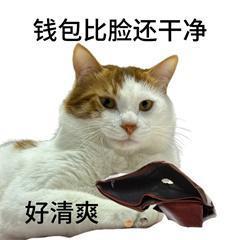 《我的勇者》(送钻石礼包)哪个武器外观你最喜欢?