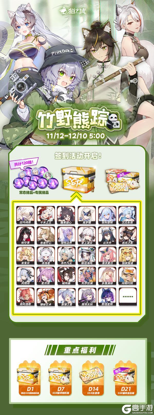 《猫之城》「竹野熊踪」活动介绍来啦!