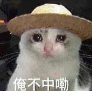 《山海幻境》福利活动 送1111元宝