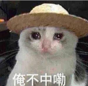 《山海幻境》【福利活动】元宝遇刺,国库已空!快去请善财童子!