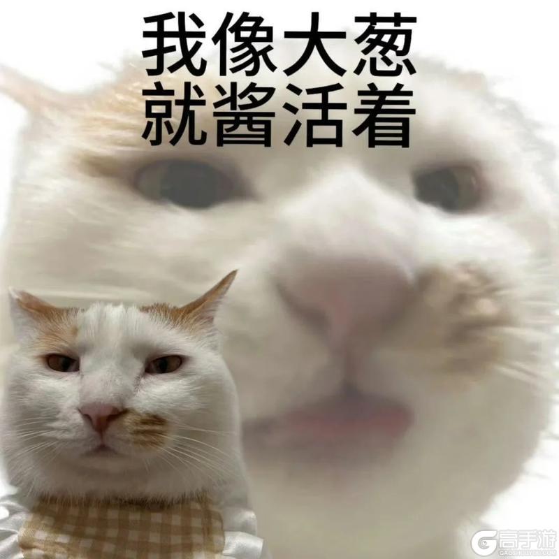 《古代战争》【新区公告】费伦-混沌神殿(安卓IOS混服)来袭!