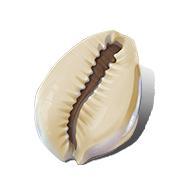 博物偃武丨一枚海贝，串联起古滇国的财富与三国的文明脉络