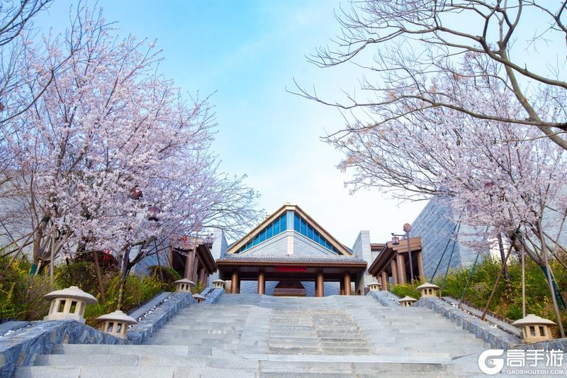 《道友请留步》日出东方，山海赴会！「道友九周年×日照天台山」联动开启！