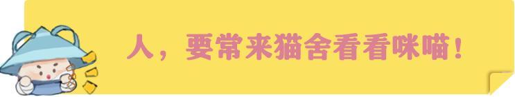 《一梦江湖》萌宠系统全新“贴身陪伴”模式
