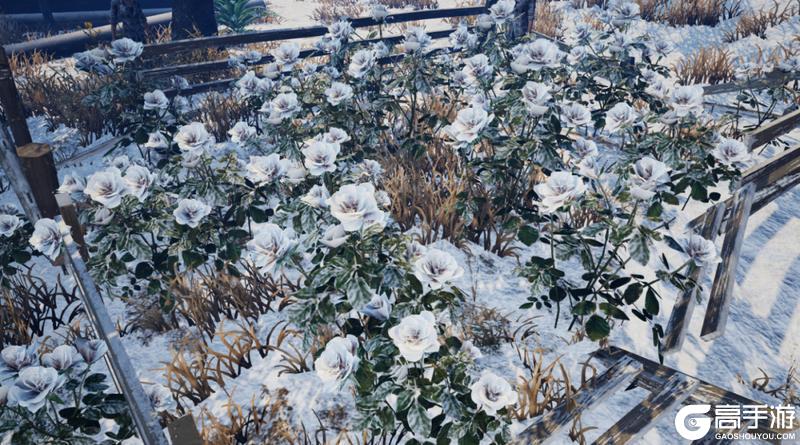 《明日之后》拔还是不拔？这是一个好问题