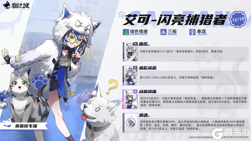 《猫之城》美国短毛猫：艾可-闪亮捕猎者即将登场！