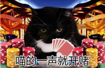 制作人的信-关于山海幻境2026年Q1季度的发展规划！