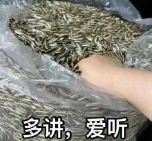 制作人的信-关于山海幻境2026年Q1季度的发展规划！