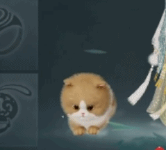 《一梦江湖》萌宠系统全新“贴身陪伴”模式