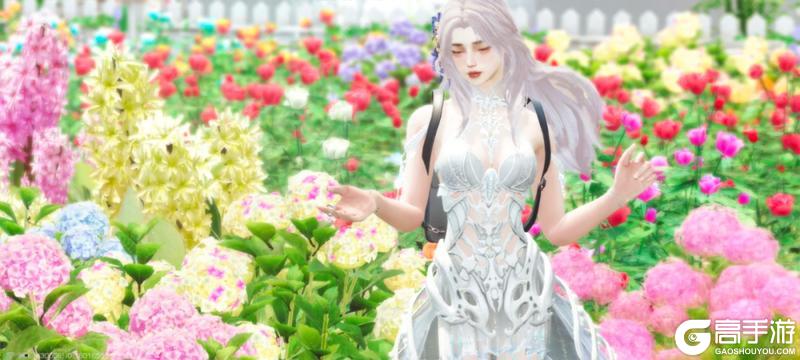 《明日之后》海的那边是什么？是渊息未央绝美返图！