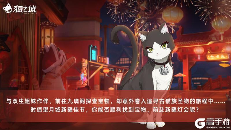 《猫之城》活动故事丨于此夜重逢
