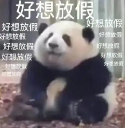 【我的勇者】岁末十二月，人间正腊月