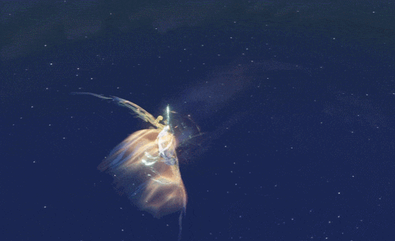 《遇见逆水寒》1月22日更新公告