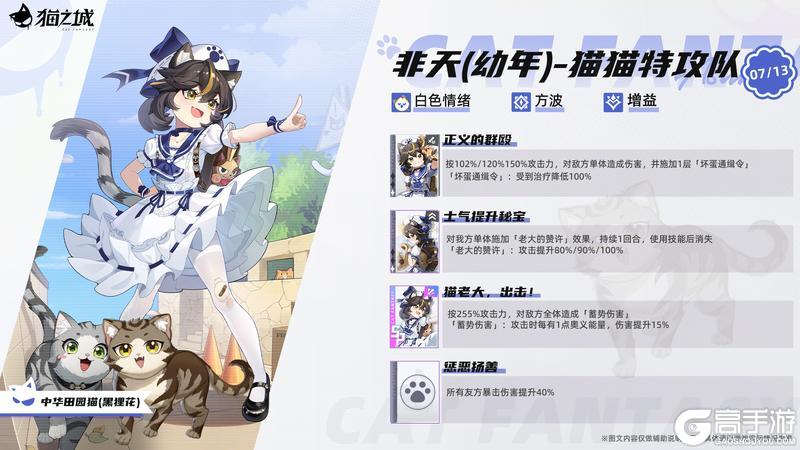 《猫之城》中华田园猫：非天（幼年）-猫猫特攻队即将登场！