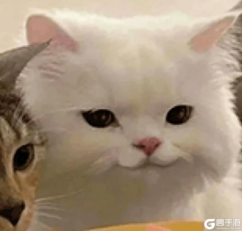 《古代战争》【新区公告】天启-天使圣锋（安卓IOS混服）来袭！