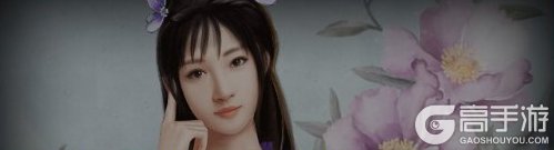 英雄之路红颜知己图鉴详解