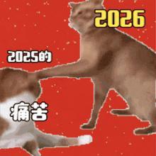 《我的勇者》勇者们2026元旦快乐!!