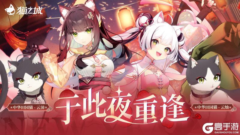 《猫之城》「于此夜重逢」版本即将开启