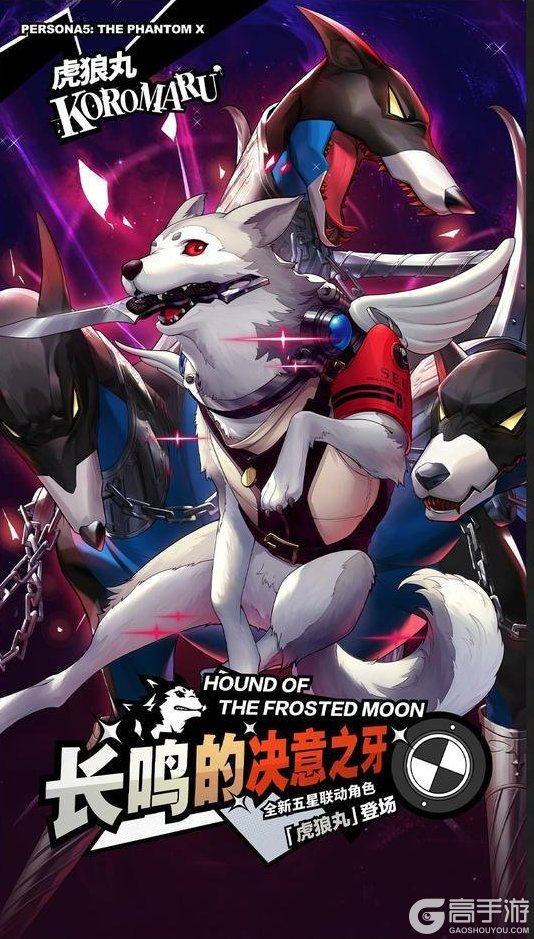 《女神异闻录:夜幕魅影》P5X x P3R联动版本「苍犬忠义的咆哮」先导概览