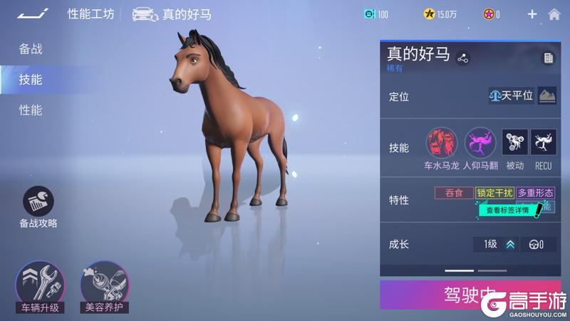 《王牌竞速》好马！这是「真的好马」！